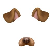 Sound image