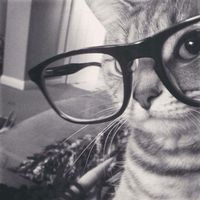 TikTok Account Photo
