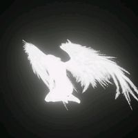 TikTok Account - https://p16-sg.tiktokcdn.com/tos-alisg-avt-0068/edeb6392f8c9c8346a139456f8ac7044~tplv-tiktokx-cropcenter:200:200.jpeg