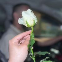 you_sra051