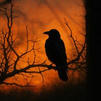 TikTok Account - https://p16-sg.tiktokcdn.com/tos-alisg-avt-0068/efee4cdf3530983a4d58539b06543f9f~tplv-tiktokx-cropcenter:200:200.jpeg