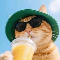 TikTok Account - https://p16-sg.tiktokcdn.com/tos-alisg-avt-0068/f10f4630278dbb8014550b2fdda6733e~tplv-tiktokx-cropcenter:200:200.jpeg