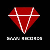 TikTok Account - gaanrecords