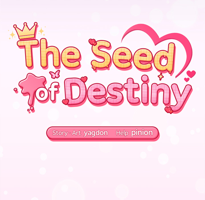 The Seed of Destiny - episode 15 - 20