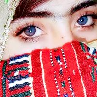 banokbaloch910