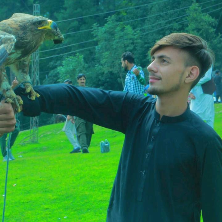 alikhanswati4444