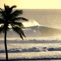 byalre