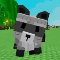 raccon720