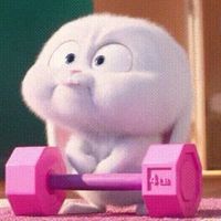 TikTok Account - https://p16-sg.tiktokcdn.com/tos-alisg-avt-0068/f49824975146133cd69336fbac5e52db~tplv-tiktokx-cropcenter:200:200.jpeg