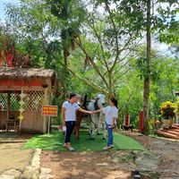 nhạc nền - Nguyễn Quý Nhi