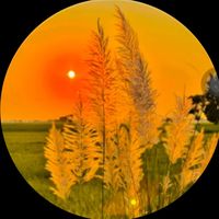 TikTok Account - https://p16-sg.tiktokcdn.com/tos-alisg-avt-0068/f65d5ea5d56bbad945f85b2017df1d0b~tplv-tiktokx-cropcenter:200:200.jpeg