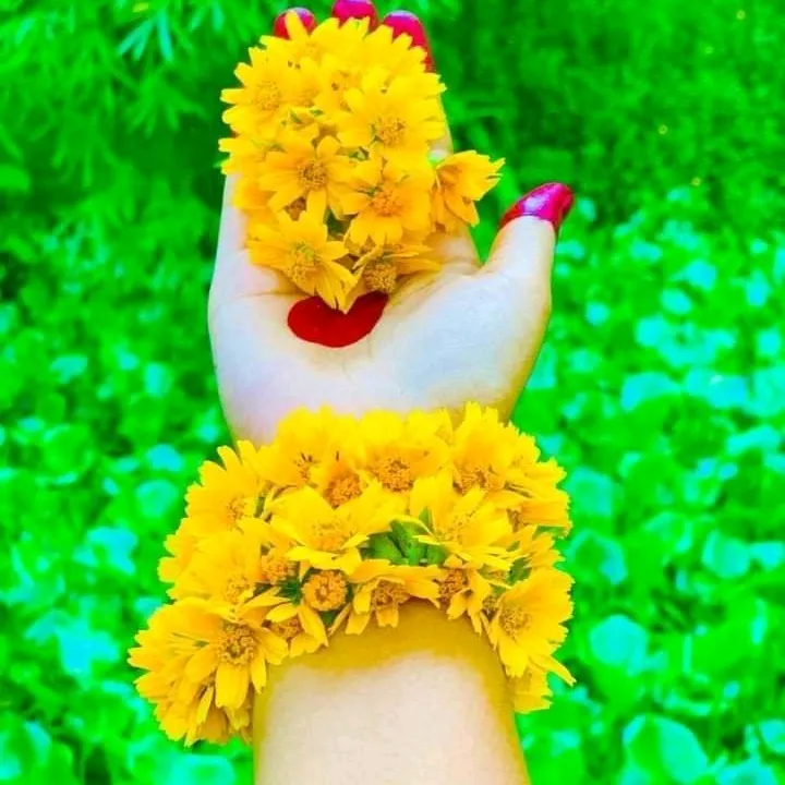 tslemaeslam