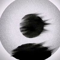 TikTok Account - https://p16-sg.tiktokcdn.com/tos-alisg-avt-0068/f6e649880760c4cc042bfa4539ac27d4~tplv-tiktokx-cropcenter:200:200.jpeg