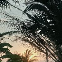 original sound - dy77o6oa1g8w