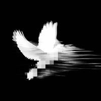 TikTok Account - https://p16-sg.tiktokcdn.com/tos-alisg-avt-0068/f71caa04ee7458c1a02958c27025a6c2~tplv-tiktokx-cropcenter:200:200.jpeg