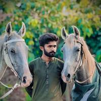 TikTok Account Photo