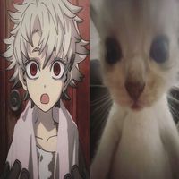 rudoeyes