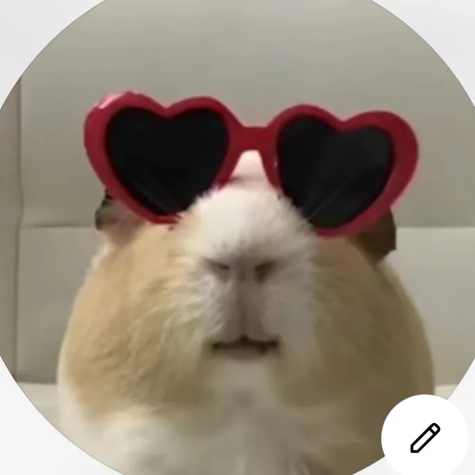 ma_niva1