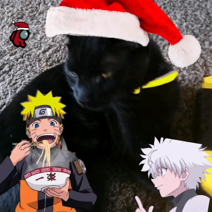 paddysmaher2
