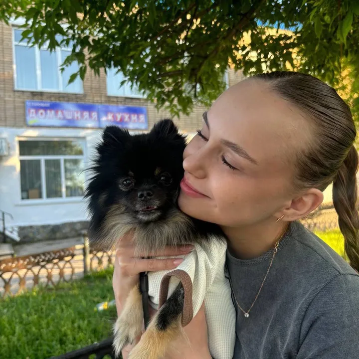 ks_syyy