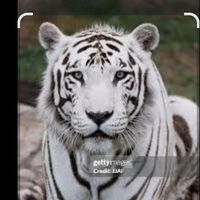 zeshan51845