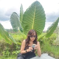 lily011076
