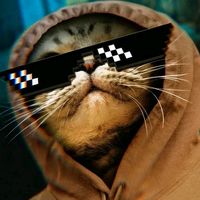 TikTok Account - https://p16-sg.tiktokcdn.com/tos-alisg-avt-0068/f9e51bf1aba6915d7686eec834b829cd~tplv-tiktokx-cropcenter:200:200.jpeg