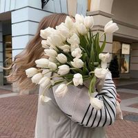 TikTok Account - https://p16-sg.tiktokcdn.com/tos-alisg-avt-0068/fb398c94b6811f5e072ad4a184ee023e~tplv-tiktokx-cropcenter:200:200.jpeg