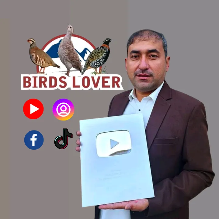 birdslover255