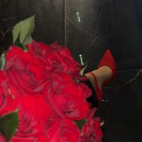 TikTok Account - https://p16-sg.tiktokcdn.com/tos-alisg-avt-0068/fbcd694765b3bc15b6d0fff680bae308~tplv-tiktokx-cropcenter:200:200.jpeg