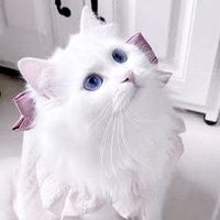 オリジナル楽曲 - 👍🏻🎀