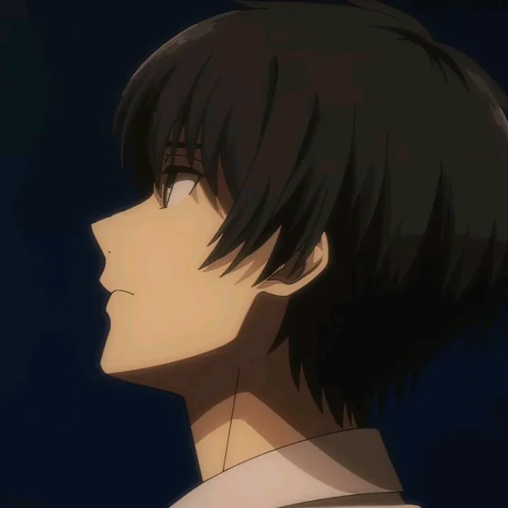 shionnxml_