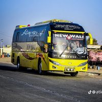 newwalimovers08