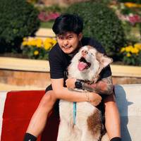 TikTok Account Photo