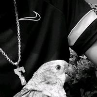 TikTok Account - https://p16-sg.tiktokcdn.com/tos-alisg-avt-0068/fd509d4ee14c1cb4080ae3596c0f47dd~tplv-tiktokx-cropcenter:200:200.jpeg