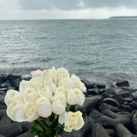 TikTok Account - https://p16-sg.tiktokcdn.com/tos-alisg-avt-0068/fdb174fb564e722e6012989e1c270050~tplv-tiktokx-cropcenter:200:200.jpeg