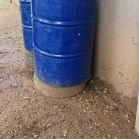 TikTok Account - https://p16-sg.tiktokcdn.com/tos-alisg-avt-0068/ff29a3c05cc6c07ffaf6572214a295a3~tplv-tiktokx-cropcenter:200:200.jpeg