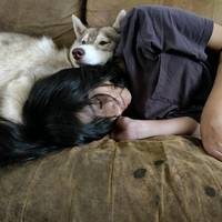 TikTok Account - https://p16-sg.tiktokcdn.com/tos-alisg-avt-0068/ff5180a2cd0d9ba5ae74839a7a7e919f~tplv-tiktokx-cropcenter-q:200:200:q70.jpg