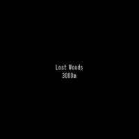 Lost Woods