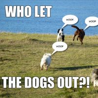 Who Let The Dogs Out Remix