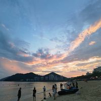 风摇盛夏