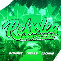 Rebolea Brasilero - Funk Brasilero