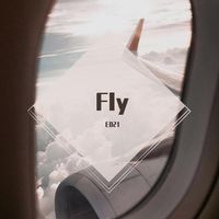Fly