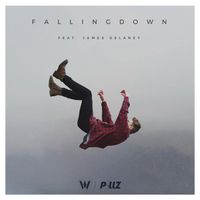 Falling Down (feat. James Delaney)(剪辑版)