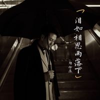 泪如相思雨落下(剪辑版)