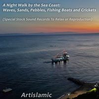 Sounds of the Waves, Sands and Pebbles While Walking on the Sea Coast