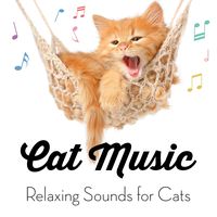Pet Sleeping Music