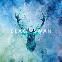 BlackSwan-中文版