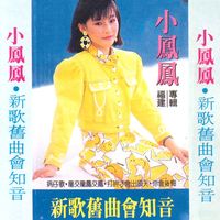 门脚一丛梨