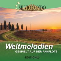 Der einsame Hirte